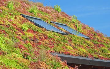 Whalley Range living roof systems